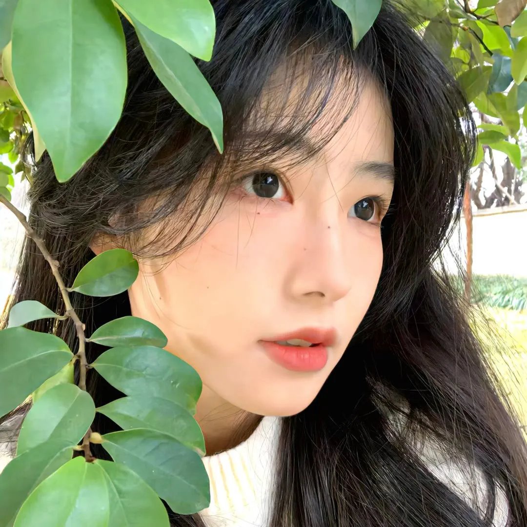 森林泰山2